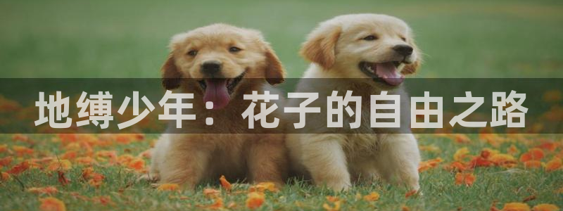 妖神记漫画飞飞漫画